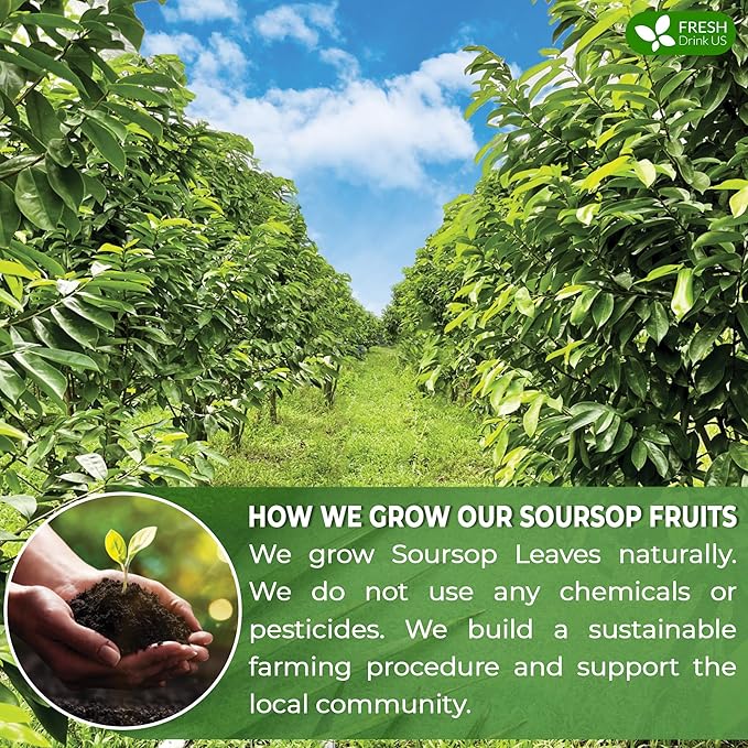 FreshDrinkUS, 60 Premium Soursop Graviola Fruit Tea Bags, 100% Natural and Pure from Soursop Fruits, Made With Natural Materials-Corn Fiber Tea Bag, Sugar/Caffeine/Gluten Free, Hoja Guanabana Tea - Bloomnest