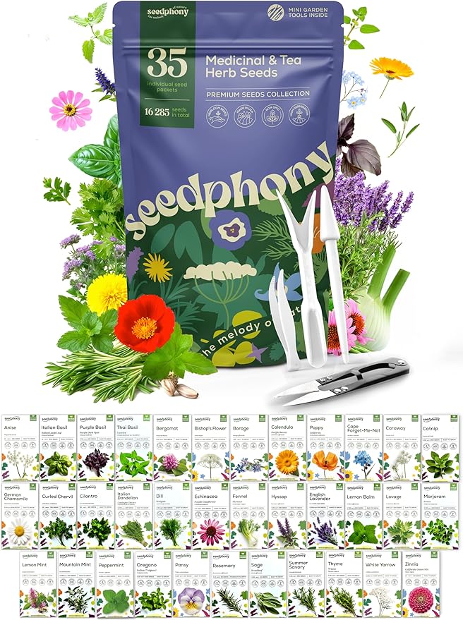 35 Medicinal & Tea Herb Seeds Variety Pack - 16,285+ Non-GMO Heirloom Herbs Seeds for Planting Indoor & Outdoor: Lavender, Rosemary, Echinacea, Mint, Catnip, Basil - Gardening Seed Packets - Bloomnest
