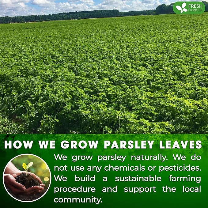 FreshDrinkUS, Premium 135 Parsley Leaf Tea Bags, 100% Natural & Pure from Parsley Leaves. Loose Leaf Parsley Herbal Tea. Made with Natural Material Tea Bags. No Sugar, No Caffeine, No Gluten, Vegan. - Bloomnest