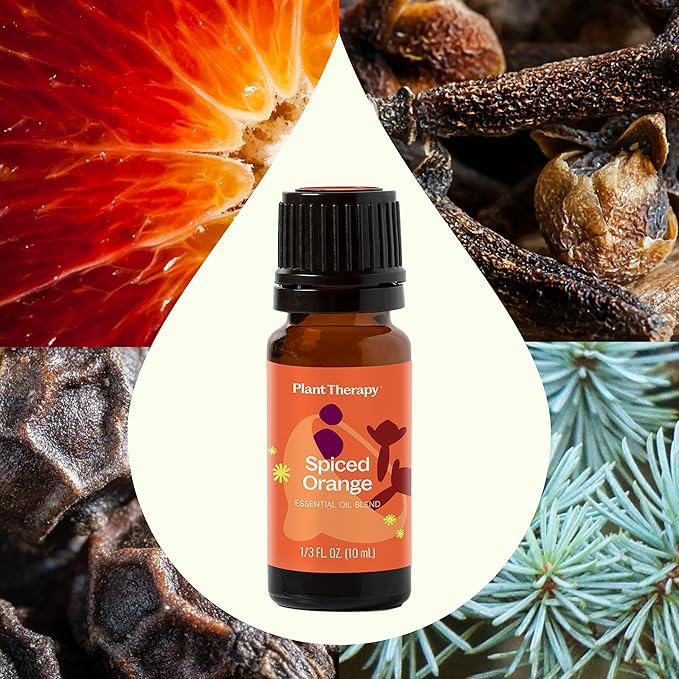 Plant Therapy Spiced Orange Holiday Essential Oil Blend 10 mL (1/3 oz) Bright Citrus Blended with Warming Spices, Inviting & Cheerful Aroma, Creates a Cozy Holiday Atmosphere - Bloomnest