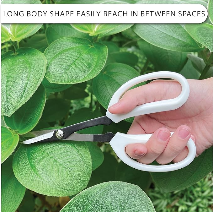 Precision Gardening Scissors Plant Trimming Pruning Shears Garden Pruners for Orchid Bonsai Hydroponic Flower Clipper Garden Snip 8 Inch Long - Bloomnest