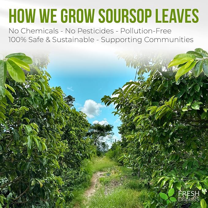 FreshDrinkUS, Premium Soursop Graviola Leaf Tea | 45 Tea Bags form Powder, 100% Natural and Pure, Handmade, Made With Natural Materials-Corn Fiber Tea Bag, Sugar/Caffeine Free, Hoja Guanabana Tea - Bloomnest