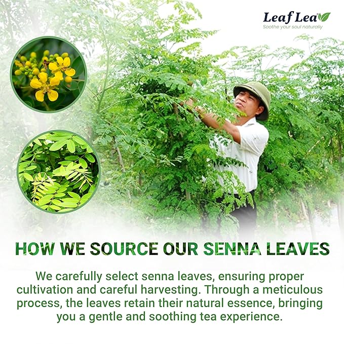 LeafLea 40 Senna Tea Bags – 100% Pure Senna Leaves, Herbal Laxative Tea for Gentle Constipation Relief, Caffeine-Free, Sugar-Free, Gluten-Free, Non-GMO, Vegan, Supports Digestive Health - Bloomnest