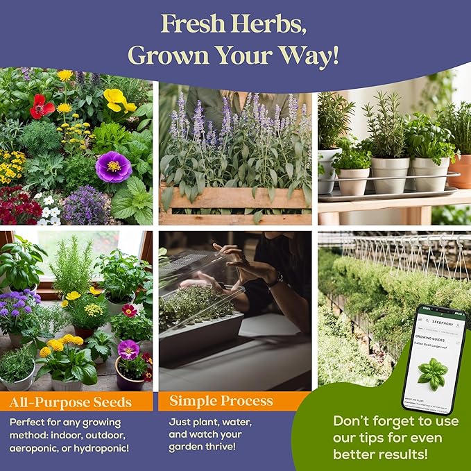 35 Medicinal & Tea Herb Seeds Variety Pack - 16,285+ Non-GMO Heirloom Herbs Seeds for Planting Indoor & Outdoor: Lavender, Rosemary, Echinacea, Mint, Catnip, Basil - Gardening Seed Packets - Bloomnest