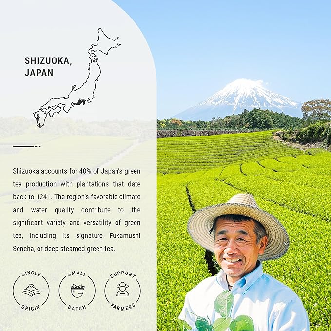 Senbird Premium Sencha - Japanese Green Tea - From Shizuoka, Japan - Loose Leaf Tea In Airtight Tea Tin (3.5oz/100g) - Bloomnest