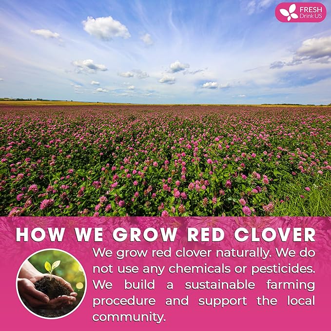 FreshDrinkUS, Premium Red Clover Herbal Tea– 75 Tea Bags – Pure – Naturally Smooth & Mild Flavor – Premium Quality, Eco-Conscious Packaging. Caffeine-Free. Gluten Free. Vegan - Bloomnest