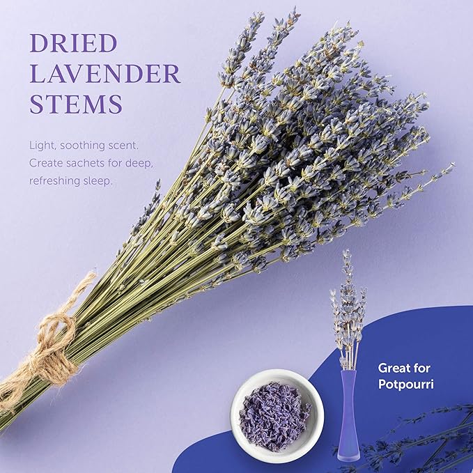 Gift Baskets for Women, Valentines Day Gifts for Her, Spa Gifts for Women – Lavender & Lilac Bath Set Soap, Bath Bomb, Jojoba Oil, Lip Balm Bath and Body Gifts for Mom