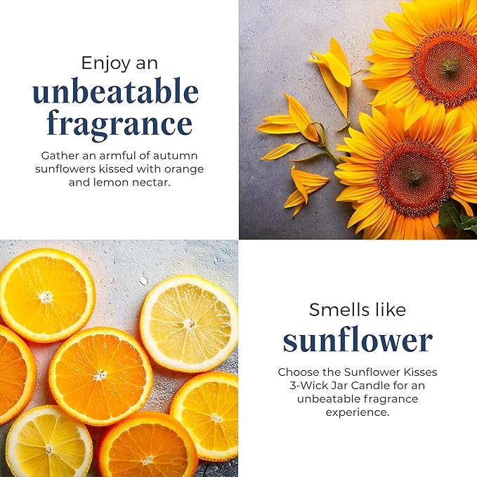 PartyLite 3-Wick Jar Candle, Highly Fragranced Clean Burning Glass Candle, 25-45 Hours Burn Time (Sunflower Kisses) - Bloomnest