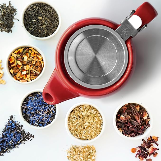 ORNA Ceramic Teapot with Tea Infuser – Small Tea Pot for Loose Leaf Tea – 550ml / 18.6 Oz Non-Stove Porcelain Teapot for 2 Cups with Tea Strainer (Red) - Bloomnest