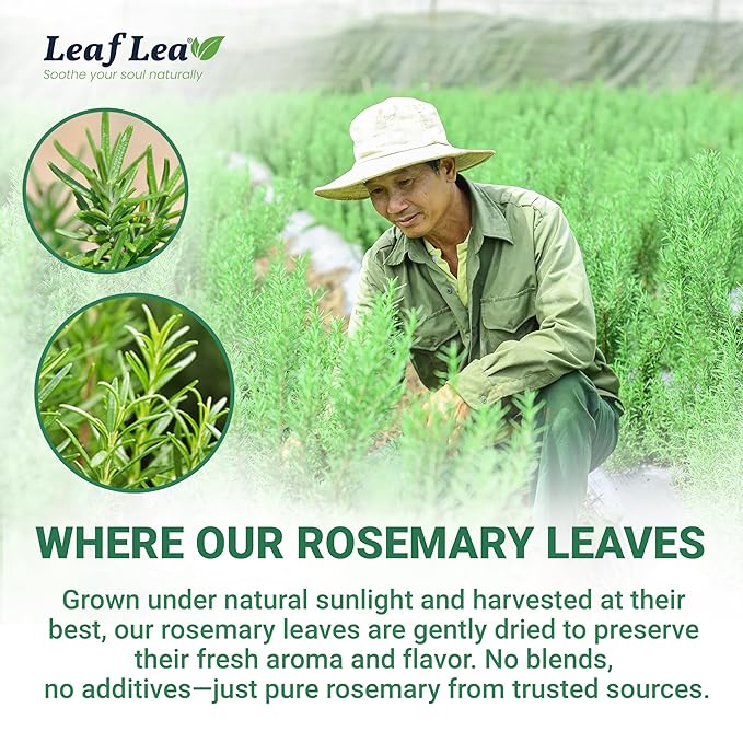LeafLea 40 Premium Rosemary Tea Bags from 100% Natural Rosemary Leaves, Herbal Tea for Gentle Digestive Comfort, Te De Romero Earthy Taste & Light Aroma, Caffeine-Free, Sugar-Free, Non-GMO - Bloomnest