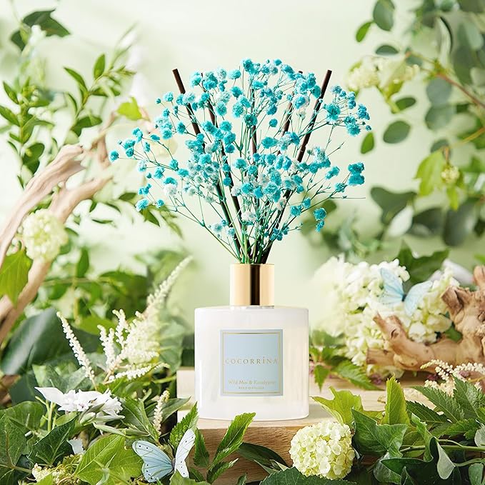 COCORRÍNA Reed Diffuser - Wild Mint & Eucalyptus 6.7 Fl.oz Reed Diffuser Set with Sticks & Preserved Baby's Breath, Reed Diffuser for Home Bathroom Shelf Decor - Bloomnest