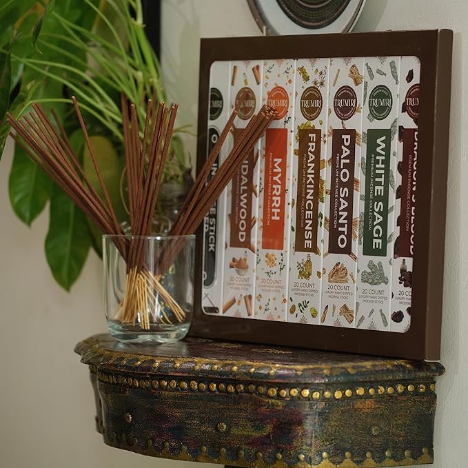 Woody Incense Sticks Variety Pack - 120 Insence-Sticks (6 Incents x 20 Insense) - White Sage Palo Santo Dragons Blood Sandalwood - Natural Inscents-Sticks Non Toxic Cleansing Incienso + Burner Holder - Bloomnest