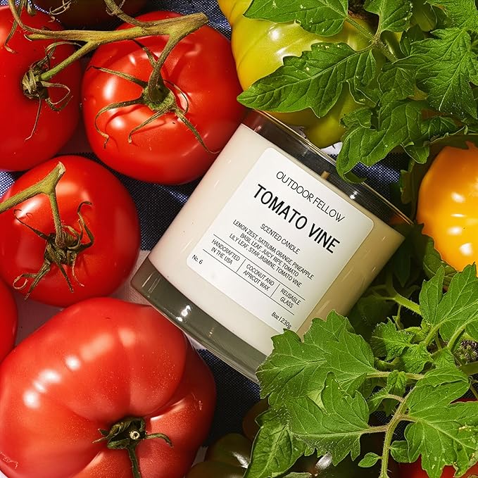Outdoor Fellow Tomato Vine Scented Candle – 8oz Coconut Wax Blend – Strong Scent Throw – Inspired by Backyard Tomato Plants – Luxury Tomato Leaf Candle in Reusable Glass Jar - Bloomnest