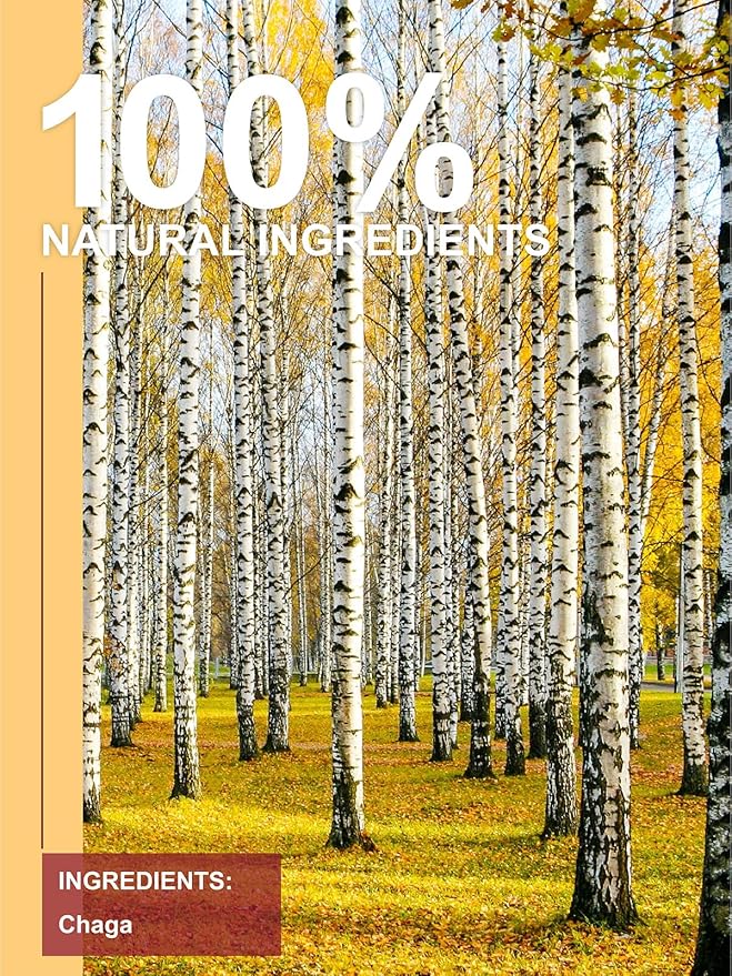TeeLux Chaga Tea Bags, Pure & Natural Chaga Mushroom Tea, Smooth Flavor, Caffeine Free, 100 Count - Bloomnest