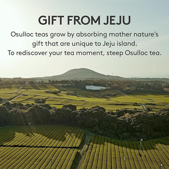 OSULLOC Premium Tea Collection (40 count, 10 flavors x 4 ea), Assorted Tea bag Sampler, Tea Gift sets for Tea lover, Self Care Gift Box, Premium Organic Pure & Blended Tea from Jeju - Bloomnest