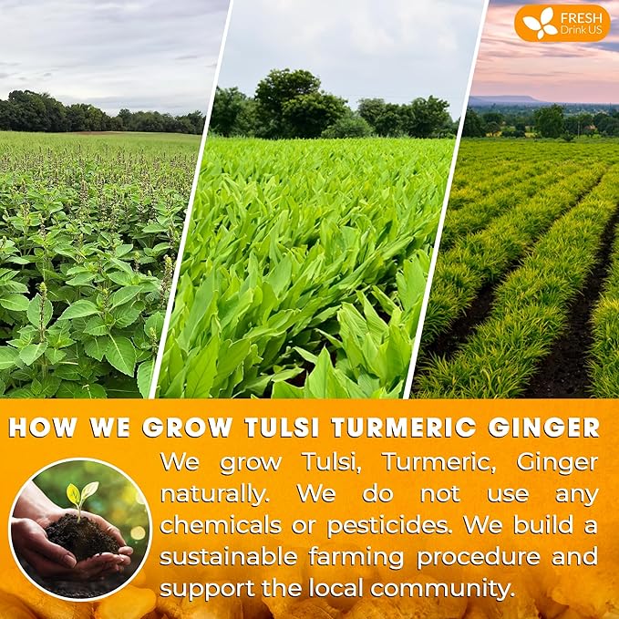 FreshDrinkUS, Premium 75 Tulsi Turmeric Ginger Tea Bags, 100% Natural & Pure from Tulsi Holy Basil Leaves, Turmeric and Ginger. Made with Natural Material Tea Bags. No Sugar, No Caffeine, Vegan. - Bloomnest