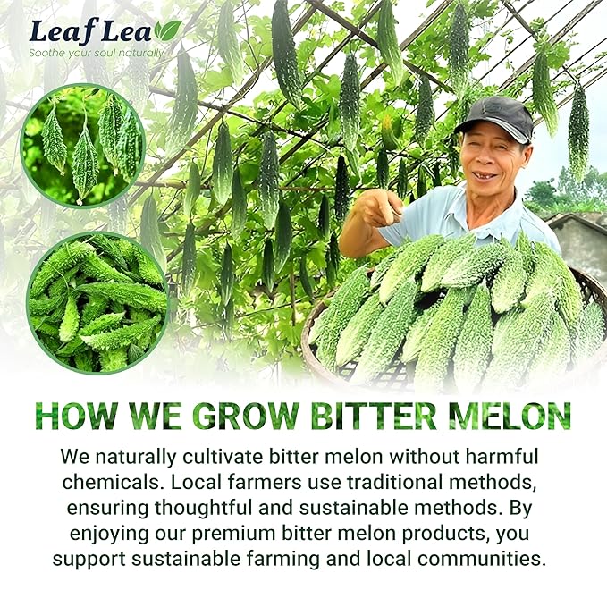 LeafLea 80 Bitter Melon Tea Bags, Premium Dried Momordica Charantia (Melon Amargo, Gohyah) Herbal Fruit Tea | Supports Wellness and Digestion | Caffeine-Free, Sugar-Free, Vegan, Pack of 2 - Bloomnest