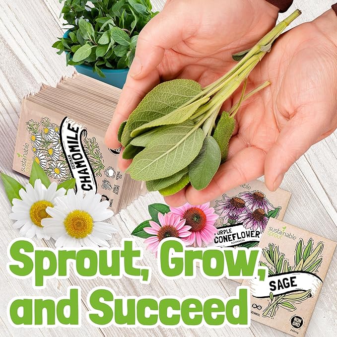 Sustainable Sprout Medicinal Tea Seeds, 8 Variety Pack Herbal Tea Heirloom Seeds, Catnip, Lavender, Peppermint, Lemon Balm, Bee Balm, Echinacea, Sage & Chamomile for Planting, Homesteading Essentials - Bloomnest