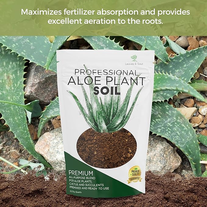 Professional Aloe Plant Soil | Premium All Purpose Blend | Large 2.2 Quarts | Ready to Use for Aloe, Cactus, Succulent Plants | Pinebark, Peat, Course Sand | Made in USA - Bloomnest