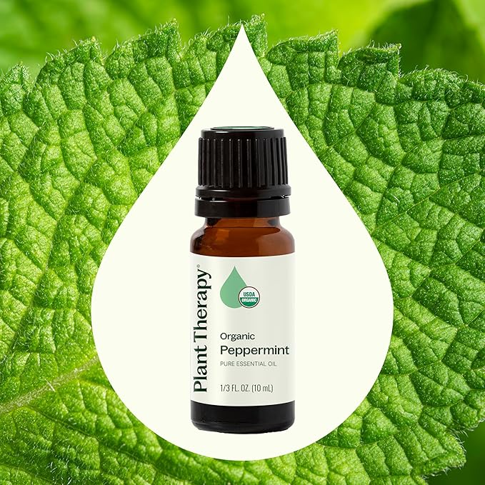 Plant Therapy Organic Peppermint Essential Oil 100% Pure, USDA Certified Organic, Undiluted, Natural Aromatherapy, for Diffuser, Skin, Hair, Therapeutic Grade 10 mL (1/3 oz) - Bloomnest