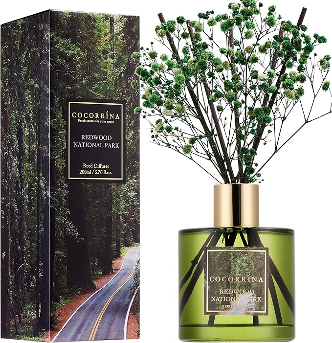 COCORRÍNA Reed Diffuser - Redwood National Park 6.7 Fl.oz Reed Diffuser Set with 8 Sticks & Preserved Baby's Breath, Reed Diffuser for Home Bathroom Shelf Decor - Bloomnest