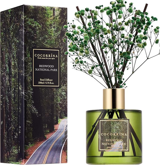 COCORRÍNA Reed Diffuser - Redwood National Park 6.7 Fl.oz Reed Diffuser Set with 8 Sticks & Preserved Baby's Breath, Reed Diffuser for Home Bathroom Shelf Decor - Bloomnest