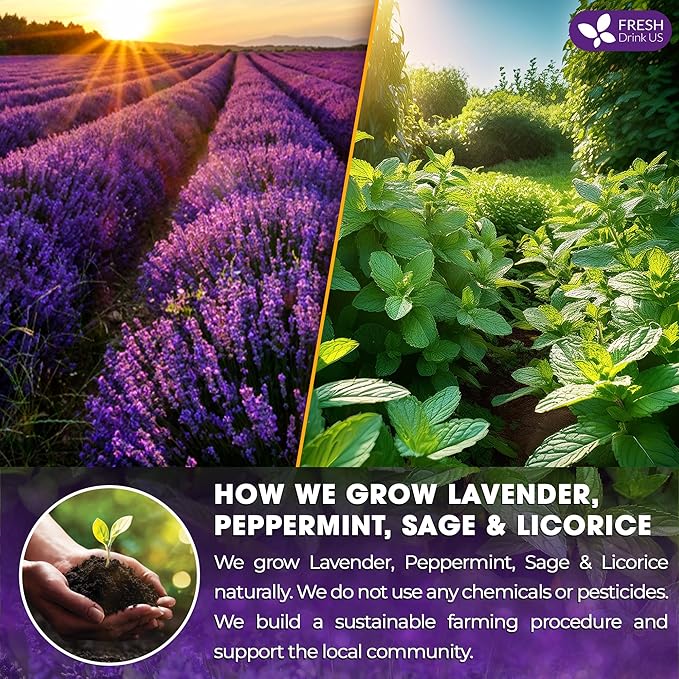 FreshDrinkUS, Premium 55 Tea Bags Lavender Mint Tea, 100% Natural, Blend of Lavender, Peppermint, Sage and Licorice. Made with Natural Material Tea Bags. No Sugar, No Caffeine, Vegan. - Bloomnest