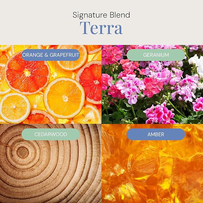 Terra Aroma Oil, Essential Oils Blend for Diffusers & Scent Machines, Upscale Wood & Amber with Citrus Accents, Aromatherapy, Cold Air Diffuser Compatible, 300 mL - Bloomnest