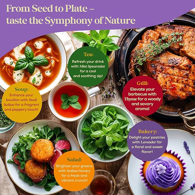 25 Culinary Herb Seeds Variety Pack - 13,055+ Non-GMO Heirloom Herbs Seeds for Planting Indoor & Outdoor: Rosemary, Basil, Catnip, Cilantro, Dill, Parsley, Oregano, Thyme, Mint, Tarragon, Lavender - Bloomnest