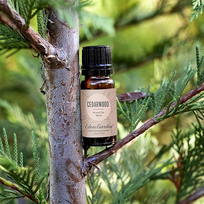 Edens Garden Cedarwood Around The World Essential Oil- 100% Pure Premium Grade, Undiluted, Natural, Therapeutic, Aromatherapy, The Best for Diffuser, Skin, Face, Hair 30 ml (1 fl oz) - Bloomnest