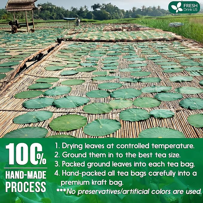 FreshDrinkUS, Premium 30 Lotus Leaf Tea Bags, 100% Natural & Pure from Lotus Leaves. Loose Leaf Lotus Herbal Tea. Made with Eco-Conscious Tea Bags. No Sugar, No Caffeine, No Gluten, Vegan. - Bloomnest