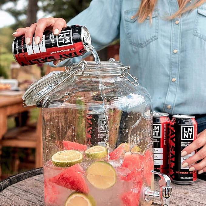 LMNT Sparkling Electrolyte Drink - Watermelon Salt | 12-Count - Bloomnest
