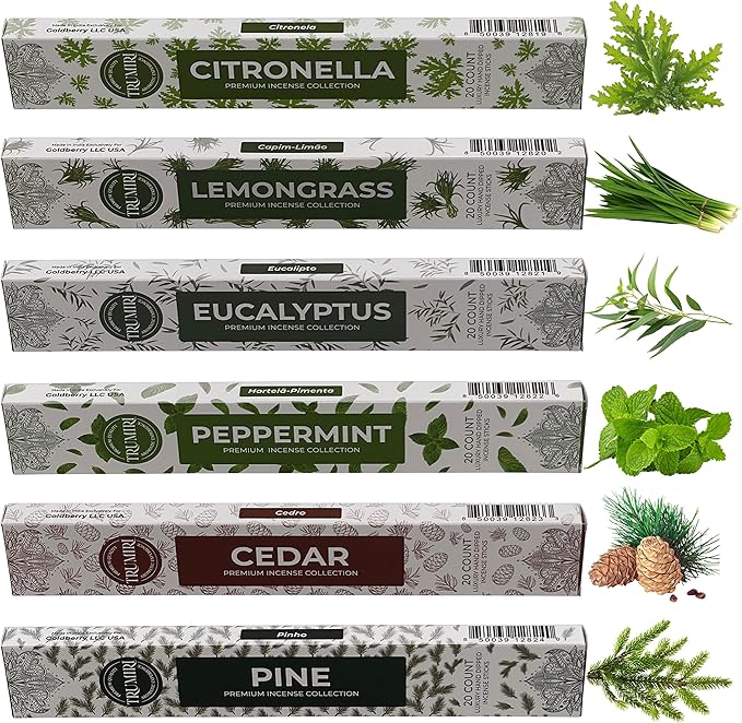 Leafy Incense Sticks Variety Pack - 120 Insence-Sticks (6 Incents x 20 Insense) - Citronella Lemongrass Eucalyptus Peppermint Pine Cedar - Natural Inscents-Sticks Non Toxic Inciensos + Incense Holder - Bloomnest