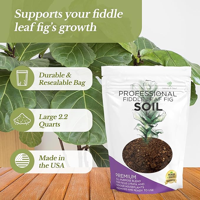 Fiddle Leaf Fig House Plant Soil Premium All Purpose Blend | Large 2.2 Quarts | Ready to Use for Indoor Houseplants | Peat, Sawdust, Course Sand and Pinebark | Made in USA - Bloomnest