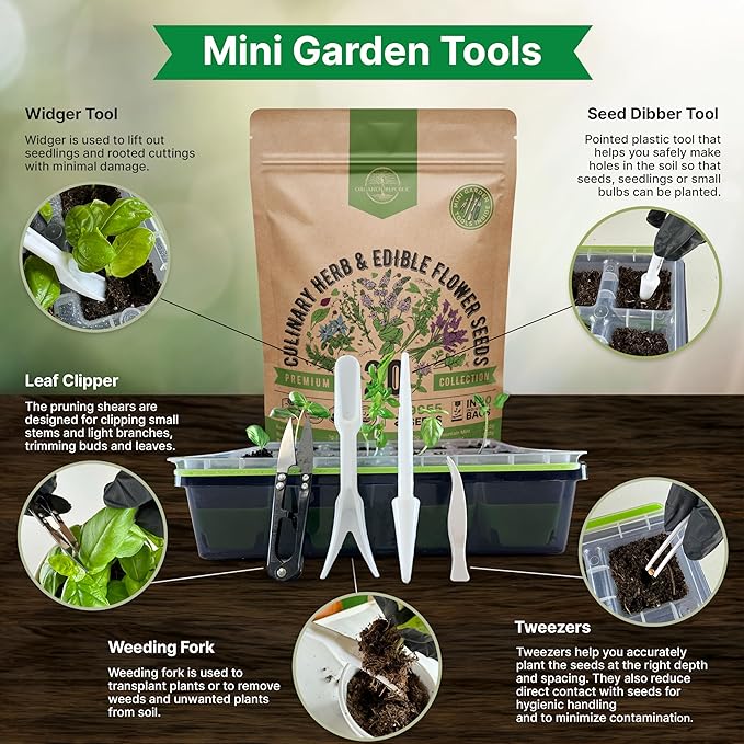 20 Culinary Herbs & Edible Flower Seed Variety Pack for Planting Indoor & Outdoors. 9500+ Non-GMO Heirloom Flower Seeds: Basil, Borage, Echinacea, Lavender, Oregano, Rosemary Seeds & More - Bloomnest