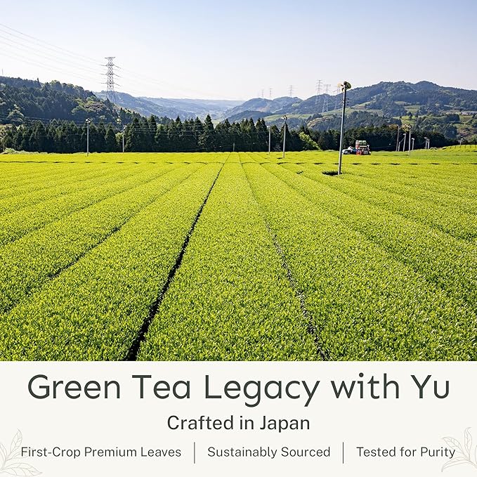 Yu Tea Decaf Organic Sencha Green Tea Powder, 100 Servings | Rich in Antioxidants, EGCG, & L-Theanine | Pure Japanese First Harvest Leaf | Caffeine-Free & Unsweetened | Resealable Pouch, 2.65 oz - Bloomnest