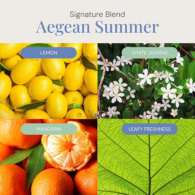 Aegean Summer Aroma Oil, Essential Oils Blend for Diffusers & Scent Machines, Green Tea & Lemongrass, Aromatherapy, Cold Air Diffuser Compatible, 300 mL - Bloomnest
