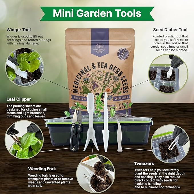 35 Medicinal & Tea Herb Seeds Variety Pack for Indoor & Outdoors. 16,335+ Non-GMO Heirloom Garden Seeds: Anise, Bergamot, Borage, Cilantro, Chamomile, Dandelion, Rosemary Seeds & More - Bloomnest