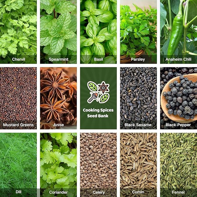 Lush&Dew Culinary Herbs Kitchen Garden Heirloom Seed Bank, Gardening Gifts, 16 Varieties Non-GMO Seeds for Planting Herb in Raised Garden Beds Windowsill, Survival Seed Kit, Cooking Spices Basil Dill - Bloomnest