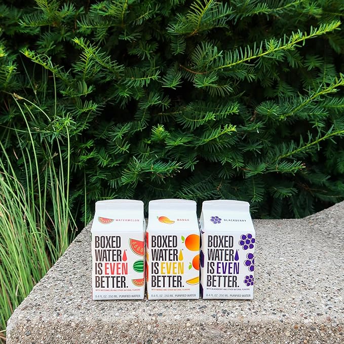 Boxed Water 8.5 oz. (24 Pack) – Blackberry in Boxes, BPA-Free, Refillable Cartons, Sustainable Alternative to Premium Plastic Bottled Water, Mini Water for Kids - Bloomnest