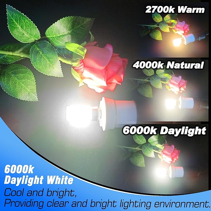 E12 Candelabra LED Light Bulbs 60 Watt Equivalent 6W 6000K Daylight White 550lm E12 C7 T6 Small Base for 120 Volt Chandelier Pendant Ceiling Fan Lighting Table Salt Lamp, Non-dimmable, 4 Pack - Bloomnest