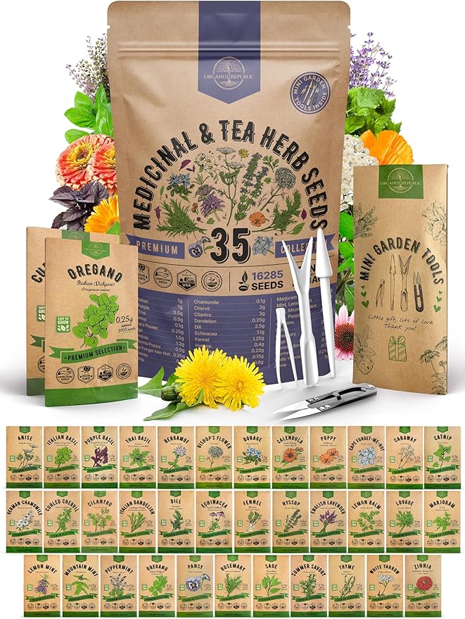 35 Medicinal & Tea Herb Seeds Variety Pack for Indoor & Outdoors. 16,335+ Non-GMO Heirloom Garden Seeds: Anise, Bergamot, Borage, Cilantro, Chamomile, Dandelion, Rosemary Seeds & More - Bloomnest