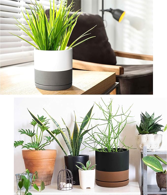 D'vine Dev Set of 2 Plants Pots, 6 Inch Ceramic Planter Pot for Plants with Drainage Hole and Saucer, White-Grey/Black-Tan, 94-V-C-C - Bloomnest