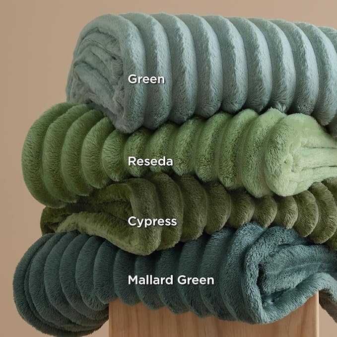 Bedsure GentleSoft Christmas Throw Blanket for Couch - Cozy Soft Blankets for Women, Cute Small Fleece Christmas Throws Gifts for Teens Girls Room Home Decor, Moss, 50x60 Inches - Bloomnest