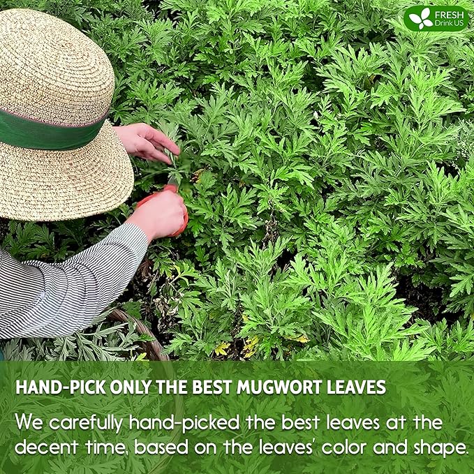 FreshDrinkUS, Premium 90 Mugwort Leaf Tea Bags, 100% Natural and Pure Mugwort Leaves. No Sugar, No Caffeine, No Gluten, Vegan. - Bloomnest