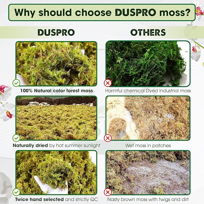 DUSPRO Dried Moss for Potted Plants, Forest Orchid Moss for Potting Mix, Sphagnum Potting Moss for Plants Indoor, Real Moss Soil Cover for Houseplant (5 OZ) - Bloomnest