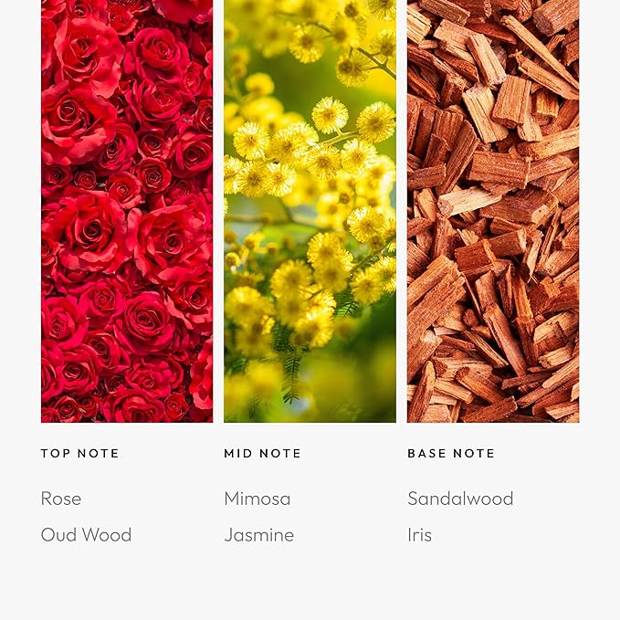 Kiss by A Rose 500mL - Bloomnest