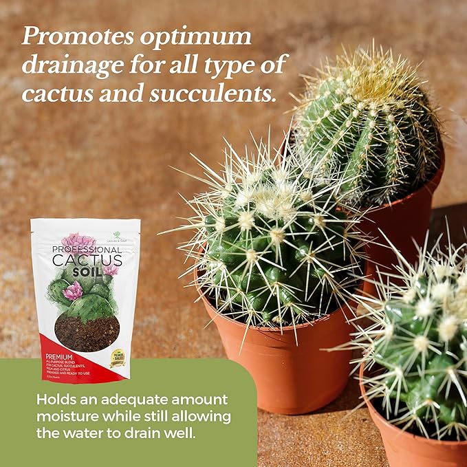 Professional Cactus Soil | Large 2.2 Quarts Ready to Use for Cactus Plants | Peat Moss, Coco Coir, Perlite, Dolomite | Made in USA - Bloomnest