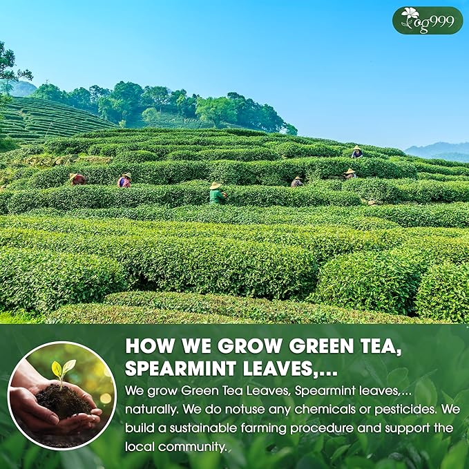 TOG999, Premium Matcha Green Tea Bags | 120 Count | Blend of Sencha, Green Tea, Spearmint & Orange Slices – Refreshing Flavor, Naturally Vibrant, No Gluten. Vegan. - Bloomnest