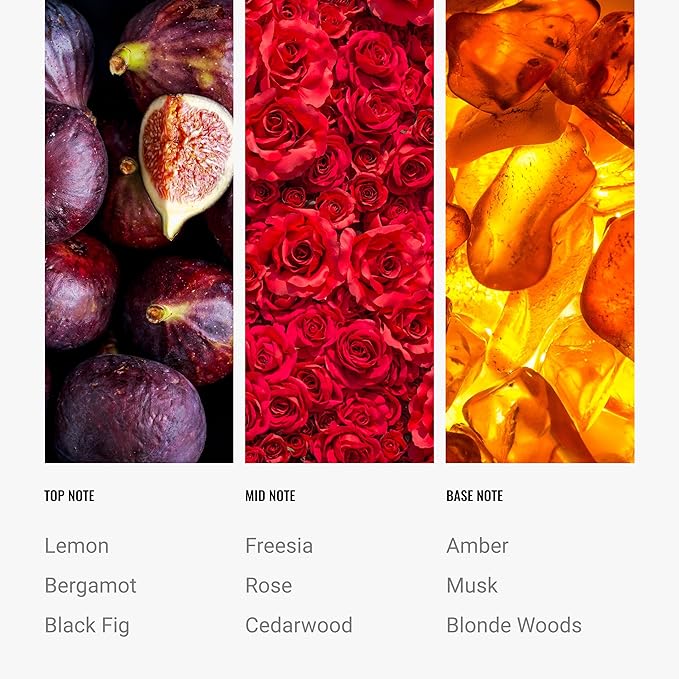 Hotel Collection Diffuser Oil - Black Velvet - Aromatherapy Essential Fragrance Oil - Blonde Woods, Rose, and Black Fig - 120ML 4.1 Fl oz - Bloomnest